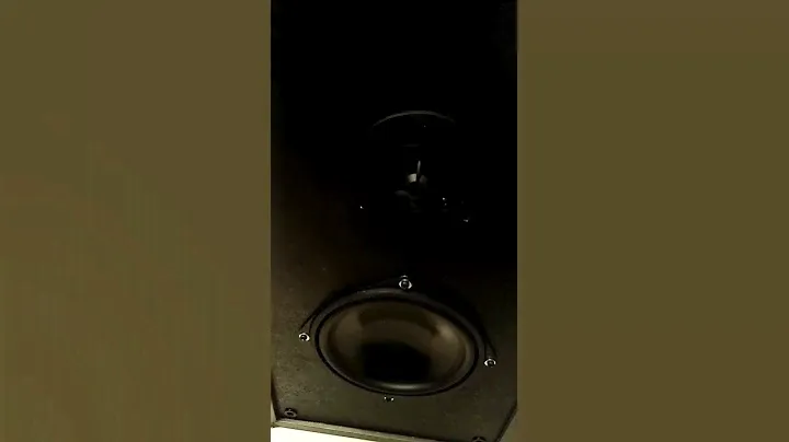 Visaton ws17e and dt94 8ohm sound