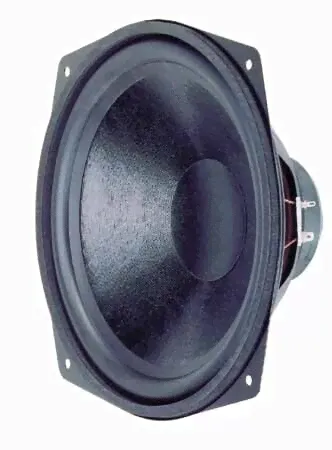 VISATON Tieftöner WS 25 E - Speaker - 80 W